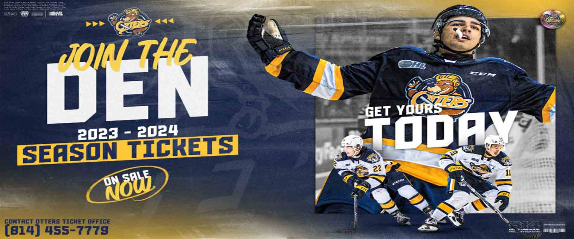 Home Erie Insurance Arena